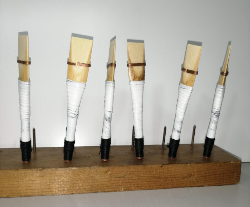 Uilleann pipe reeds for sale 12 pcs of Spanish Cane - Image 3